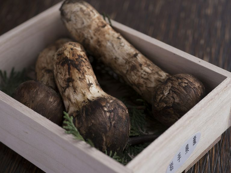 地元産の新鮮な食材にこだわりが。旬の食材を堪能できる