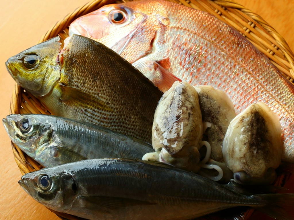 毎朝築地から仕入れる新鮮な食材と、美味しい酒をリーズナブルに