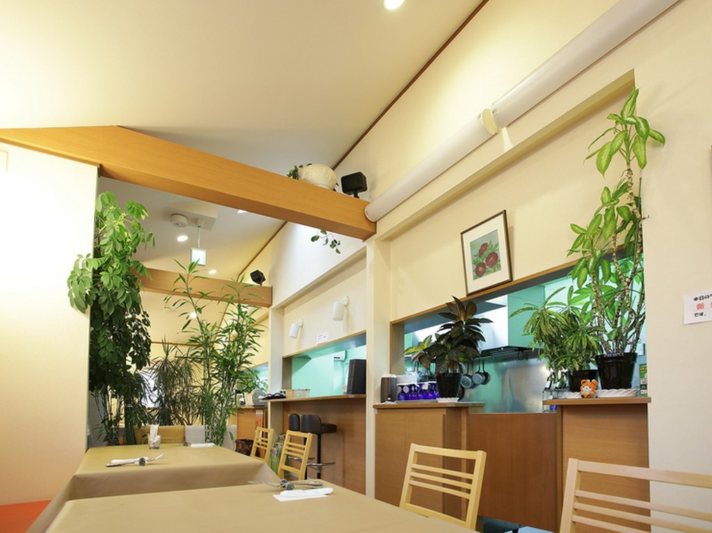 本格洋食を気軽に味わう、リーズナブルなランチメニュー