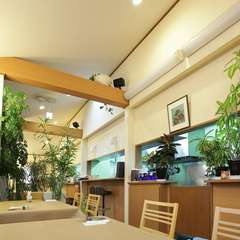 本格洋食を気軽に味わう、リーズナブルなランチメニュー