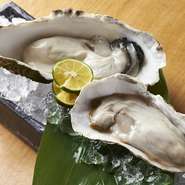 真牡蠣　 2種食べ比べ