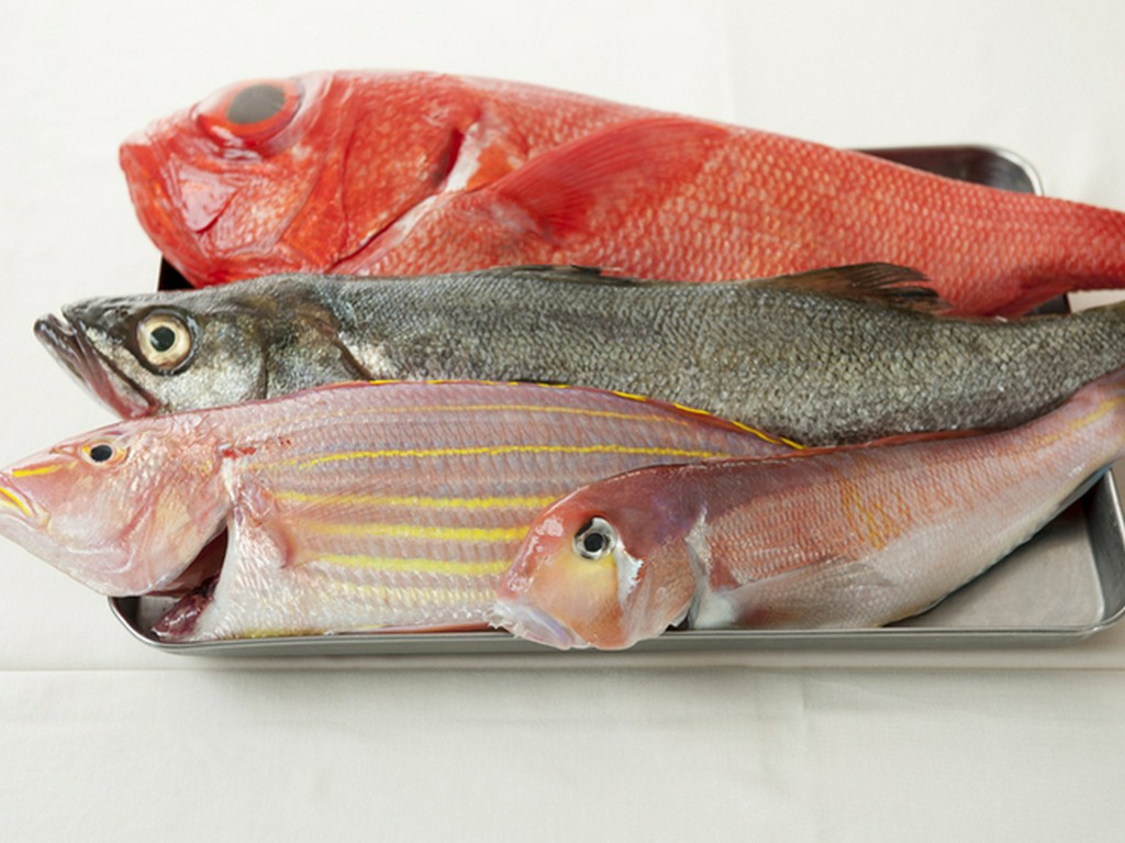 肉はもちろん魚にもこだわって鮮度の良いものを一尾丸々仕入れ
