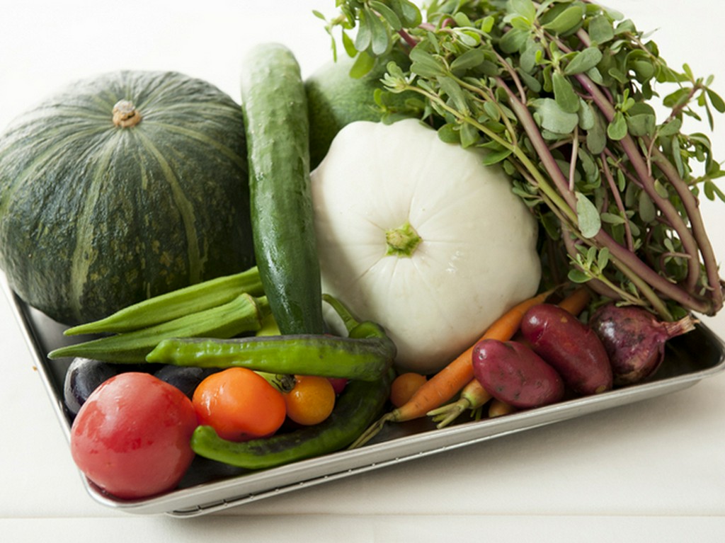 各々の力強い個性が表現された野菜は千葉のこだわりの生産者から