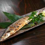 四季折々の旬の魚介にも力を入れ、「旬＆本日のおすすめ」のメニューでご案内。日本各地の漁場で揚がった新鮮な魚介を、素材そのものの味を楽しめる『お造り』や『塩焼き』などでご提供しています。