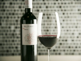 温度帯に分けて細かくセラーで管理する世界各国のワイン