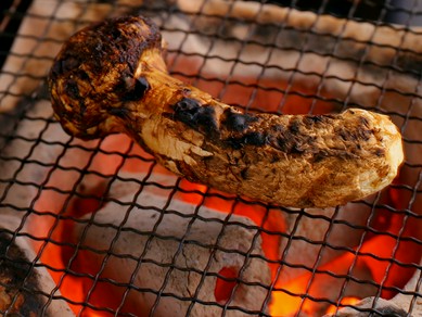 松茸を丸ごと一本、炭火でじっくり焼き上げる至高の味『松茸炭火一本焼き』