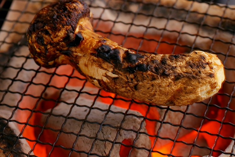 舞桜 銀座/和食 | ヒトサラ