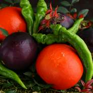 伝統野菜とは、その野菜の原種のことです。当店では季節によって、杉谷茄子、打木甘栗南瓜、杉谷唐辛子などを揃えています。ひとつひとつの味が濃いのが特長です。焼き物、煮物、揚物などで提供しています。