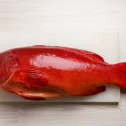 五島列島から直送されるハタ系の高級魚「スジアラ」は、抱えるほどのサイズ。強い五島の潮に揉まれた身は引き締まり、旨みもたっぷり。10日ほど熟成をかけた後、蒸し、揚げ、しゃぶしゃぶなどに調理します。