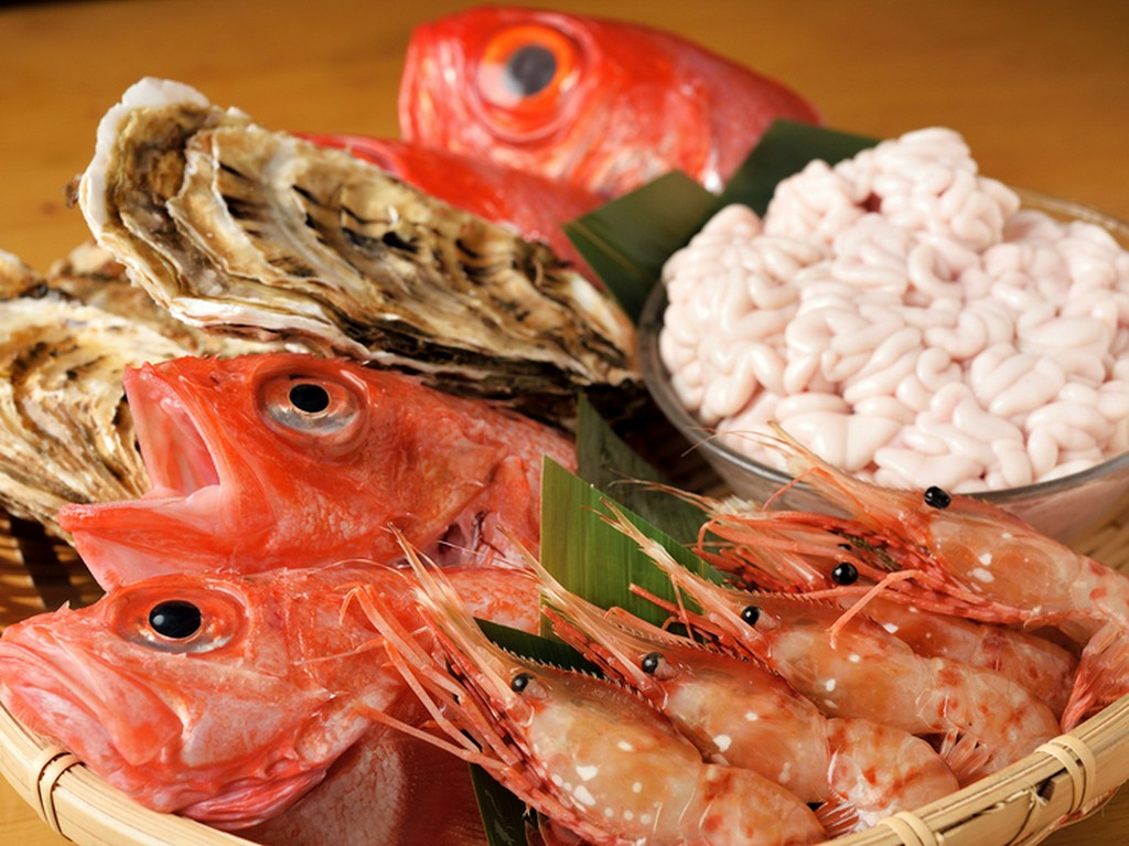 国産の天然ものの魚が食べられるお店
