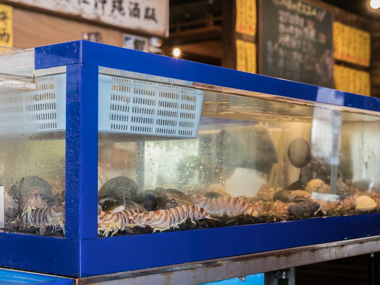店内の生け簀から取った魚をその場でさばくパフォーマンスも人気