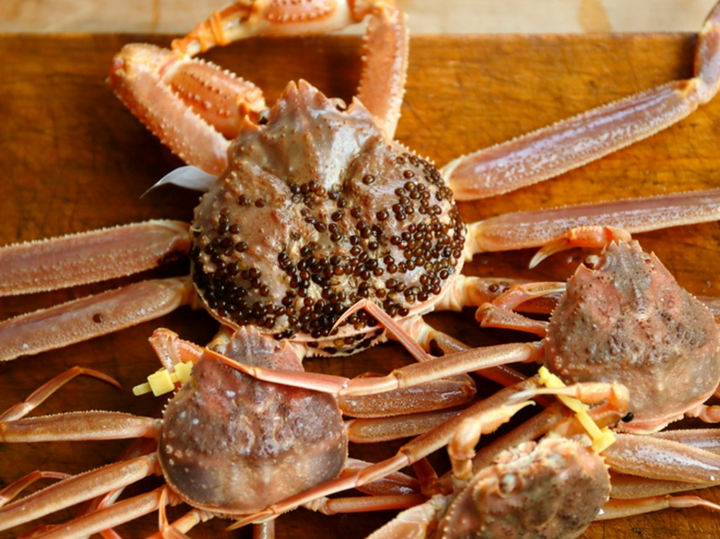冬の福井といえば越前ガニ。コースが蟹尽くしになることも