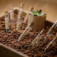 緑茶、プーアール茶、ハーブティー、コーヒーなど、約13種類の厳選した茶葉の中から選べます。