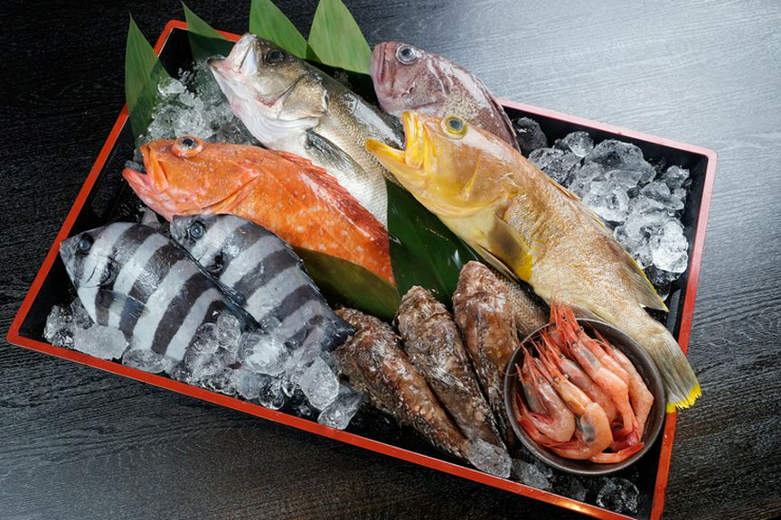 鳥取県境港をはじめ全国10か所以上の漁場から美味しい魚を直送