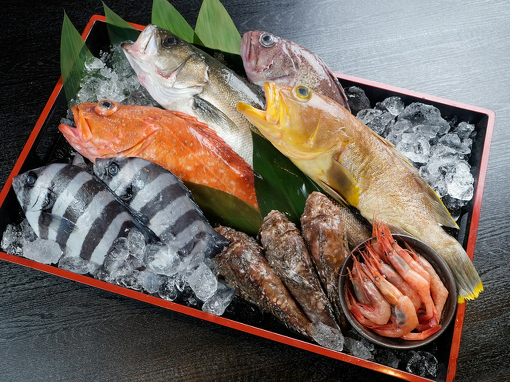 鳥取県境港をはじめ全国10か所以上の漁場から美味しい魚を直送