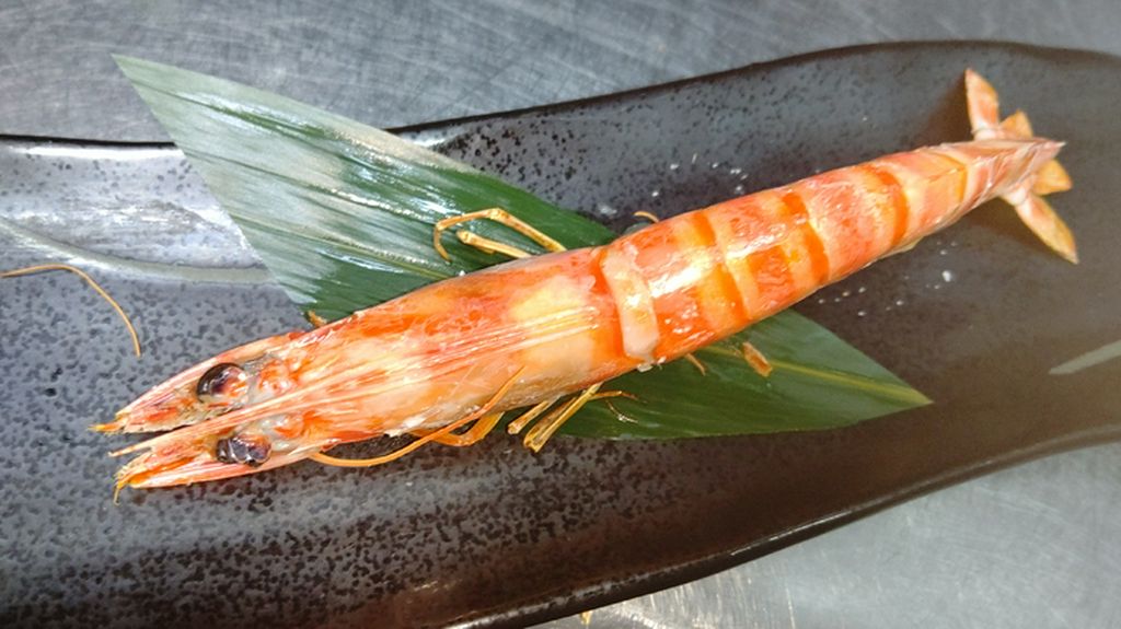 【〜魚を愉しむ〜】
全国の漁港から届く魚を中心に仕立てる、魚料理のおまかせコースです