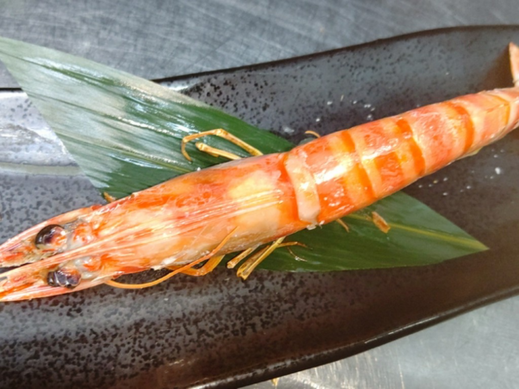 【～魚を愉しむ～】
全国の漁港から届く魚を中心に仕立てる、魚料理のおまかせコースです