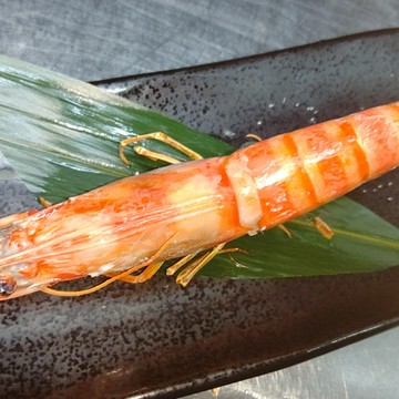 🔶美味彩々コース🔶