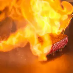 多彩なテクニックでいっそう輝く厳選食材の底力