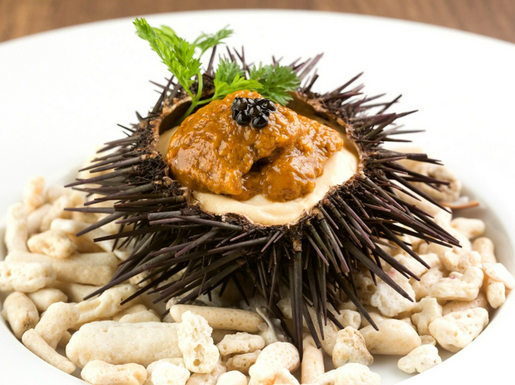 濃厚な味で繊細な食感の『冷製　生ウニのプリン　キャビア添え』