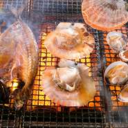 店主自らが生産地に出向き見つけ出した、市場では流通していない厳選された食材を使用。三陸の漁師が【新橋 炉ばたや】のためだけに作る干物など、ここでしか味わうことができない料理を堪能できます。