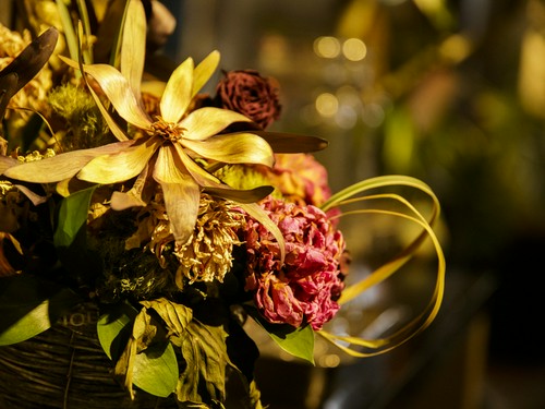 癒しのグリーンはアンティーク調にも馴染んで調和