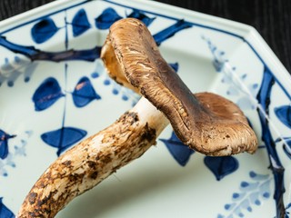 丹波産の松茸