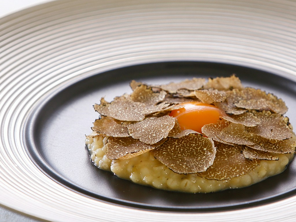 高級食材を季節の味わいで・・・。 イタリア料理の魅力を満喫できる、旬の贅沢を味わい尽くすコースです。