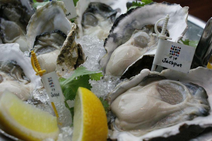 旬の生牡蠣をはじめ牡蠣料理を楽しめる店です