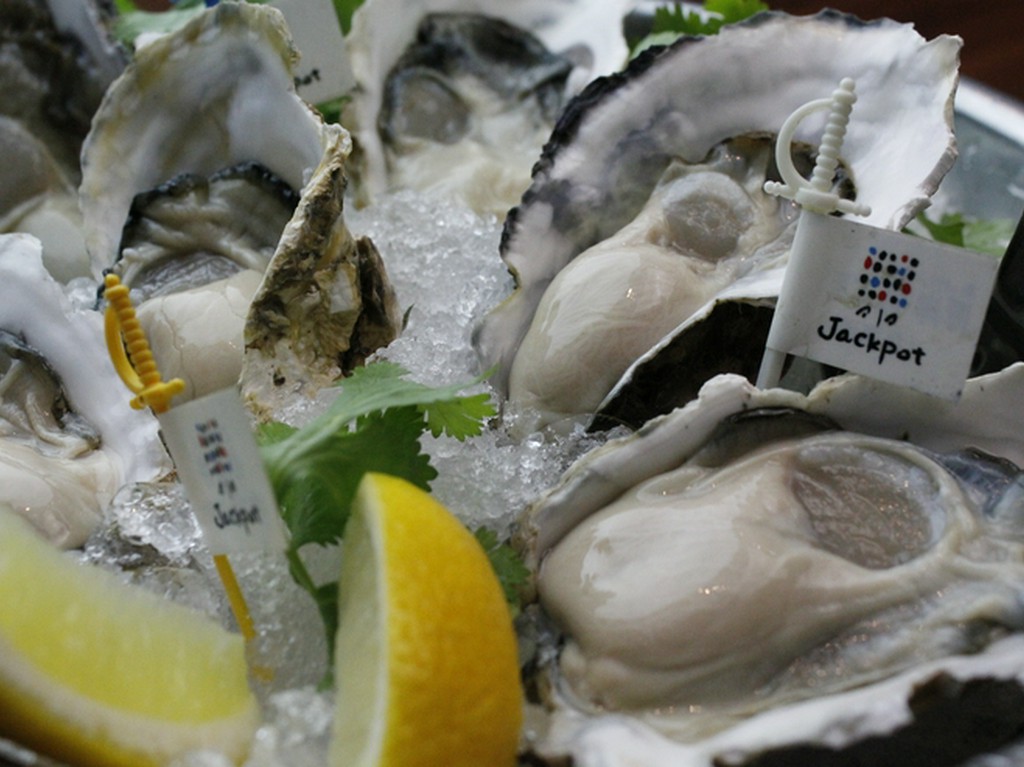 旬の生牡蠣をはじめ牡蠣料理を楽しめる店です
