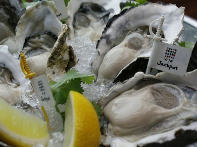 旬の生牡蠣をはじめ牡蠣料理を楽しめる店です