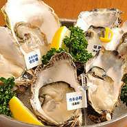 北海道、北陸、西日本の真牡蠣を中心に、海外産生牡蠣でその時期一番旬な生牡蠣を数種類ご用意。食べ比べできる「生牡蠣の盛り合わせ」が人気です。料金は時期や産地により異なりますのでスタッフにお問い合わせください

