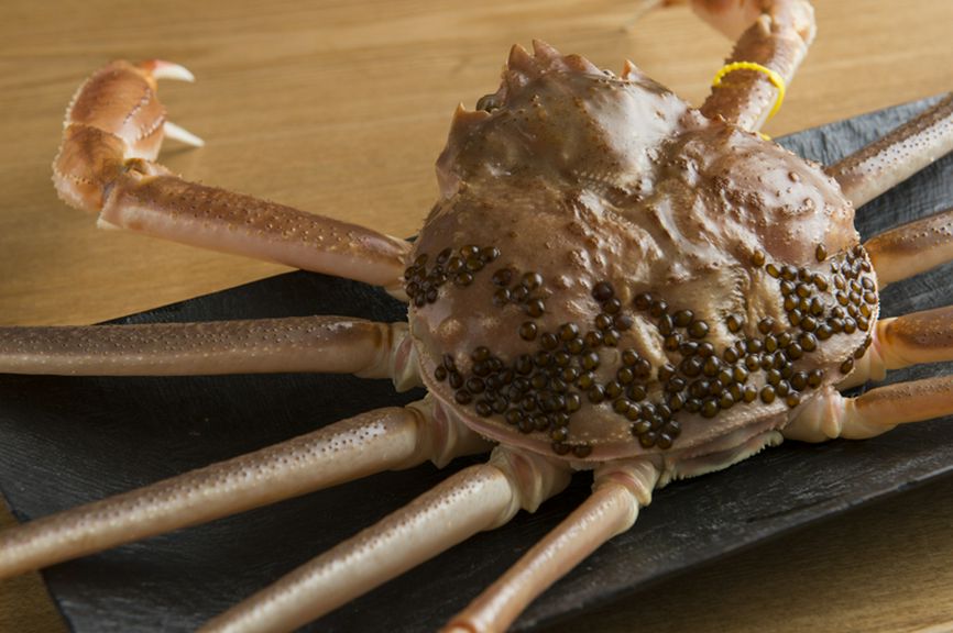 四季折々の厳選素材で季節感を表現