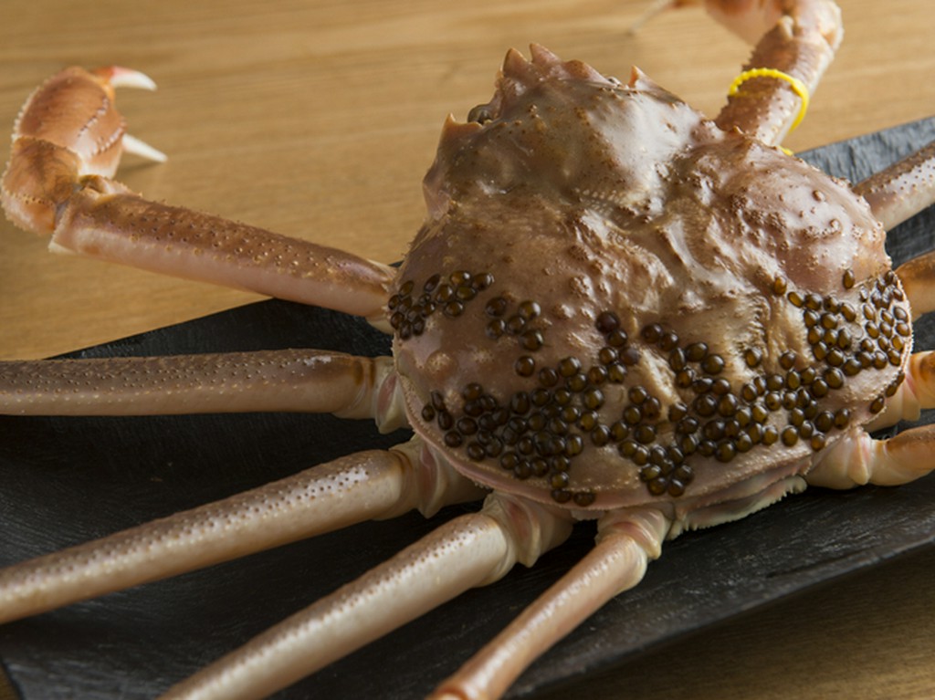 四季折々の厳選素材で季節感を表現