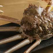 冬のズワイガニをはじめ、四季折々の旬素材で季節感を表現。上質な出汁をベースにしつつ、独自の発想を加えた調理で素材感を際立てます。