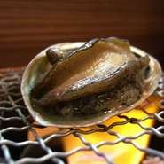 奥様御用達♪　気軽な懐石ランチ♪限定１２名様まで