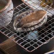 近海の良質な「活鮑」にこだわっています。「鮑」は固い歯ざわりをイメージされがちですが、「活鮑」は柔らかな食感が魅力的。弱ると味がすぐに落ちてしまうので、取り扱いには細心の注意を払っております。