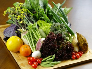 旬の新鮮野菜は天草の自然の恵み、素材の味を活かしてご提供