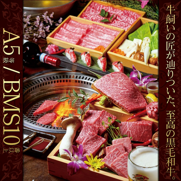 絶品A5ランク黒毛和牛を味わえるコースが多数