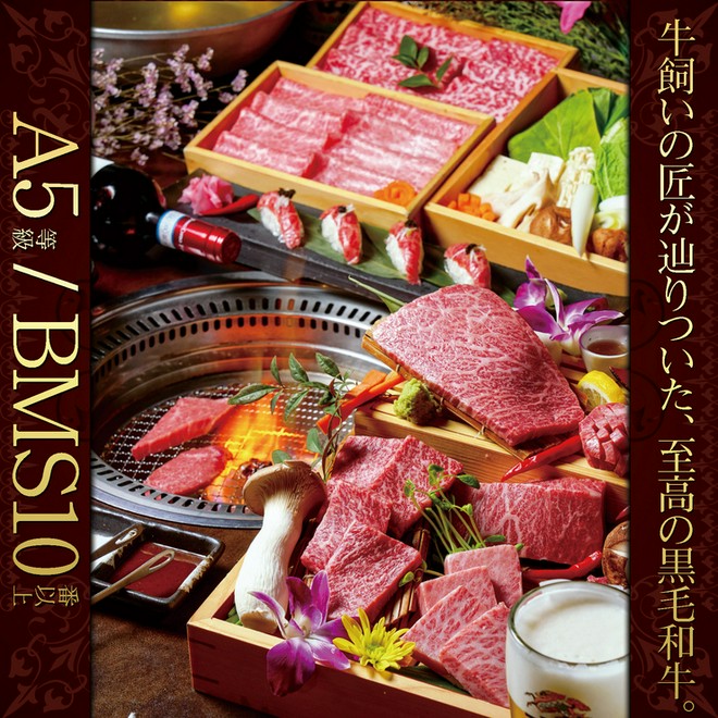 宴会におすすめ
