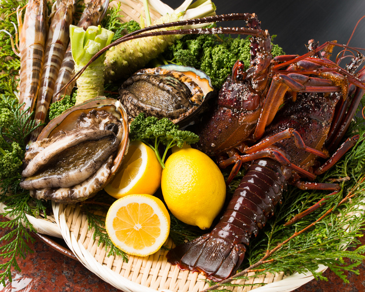 ●Specially selected Tajima beef steak and seafood course