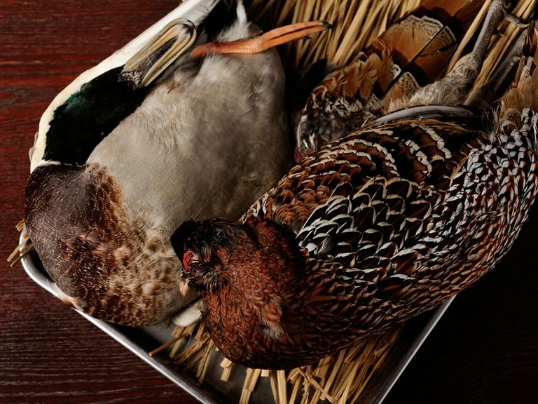 国内外ハンター直送のジビエ料理はオープン時からの看板メニュー