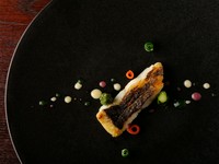 人気の海の幸をふんだんに使用したオードブルを始め、お魚、お肉料理も楽しめます
気軽にフレンチを堪能できるコース
