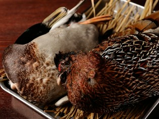 ジビエ通にはたまらない、国産のキジ（秋田）と青首ガモ（青森）