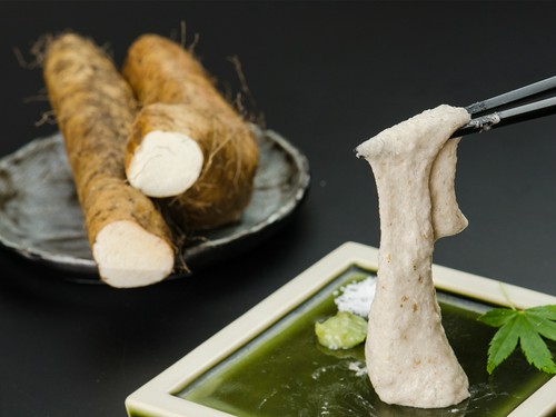 自慢は自然薯料理の数々！　珍しい水炊きやもつ鍋も