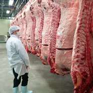 全国一位に輝いた鹿児島県産黒牛を仕入れの職人が1頭1頭の枝肉を吟味し仕入れを行っています。