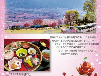 天空のお花見フェア