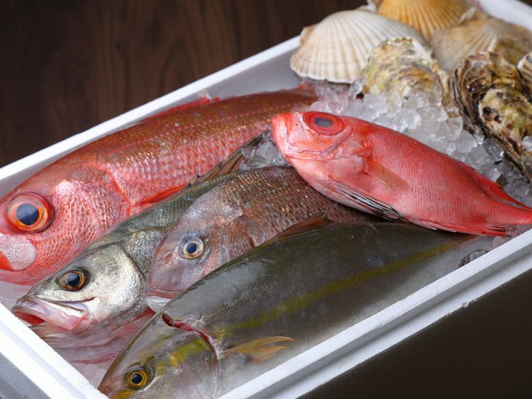 「本当に美味しい」新鮮な魚。予約限定の刺し盛りは必見