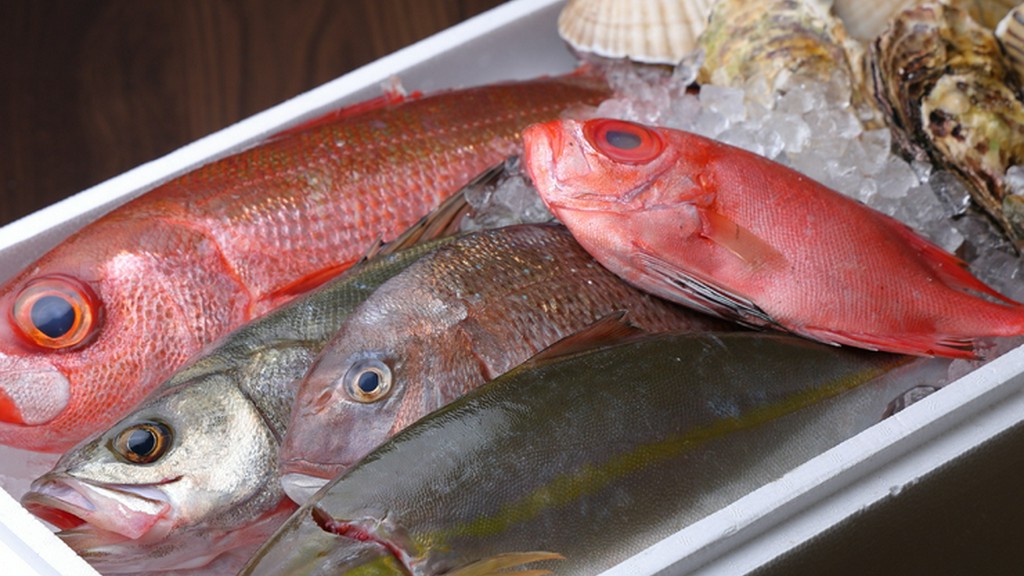 「本当に美味しい」新鮮な魚。予約限定の刺し盛りは必見