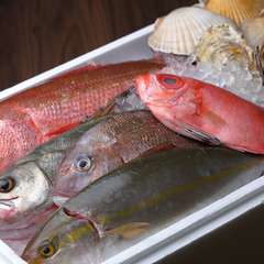 「本当に美味しい」新鮮な魚。予約限定の刺し盛りは必見